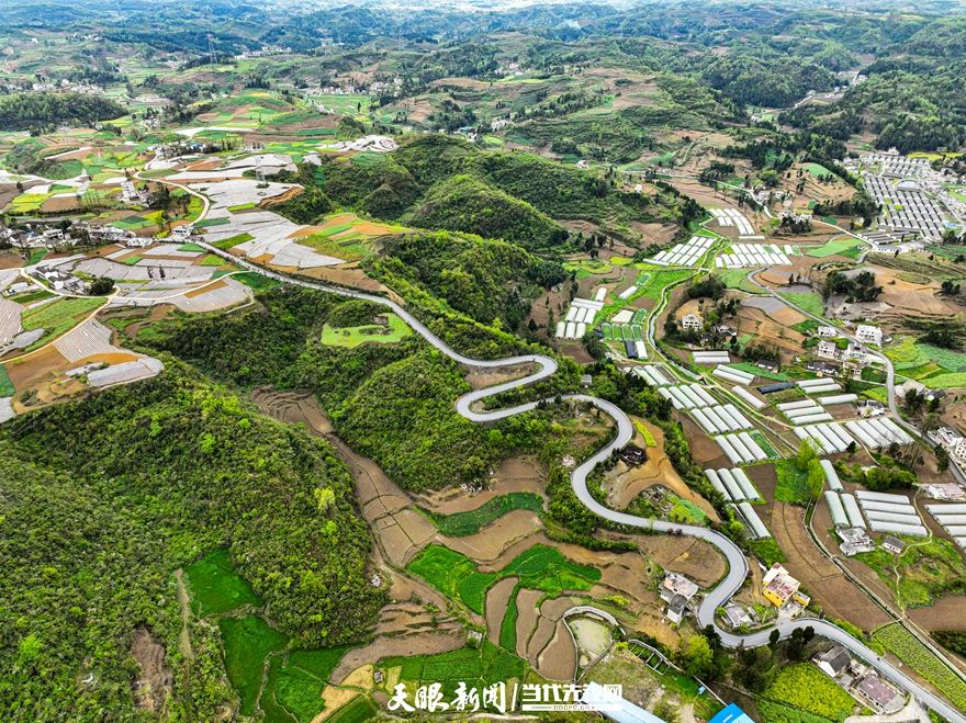 2023年4月6日，航拍经过贵州省黔西市素朴镇牛场村境内的“四好农村路”，以及借路发展的蔬菜基地和蔬菜大棚，绿油油的豌豆、蚕豆苗。 (10).JPG