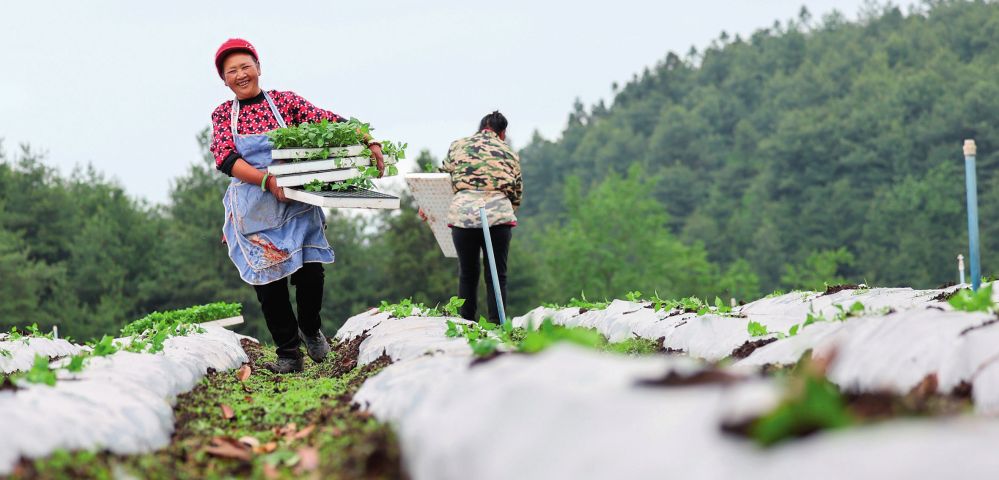 瞭望·治国理政纪事｜做好绿水青山就是金山银山这篇大文章(图3)