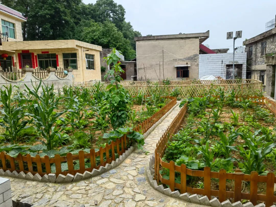 貴定縣雲霧鎮立足農村自然村(寨)所處地理位置,土壤條件,以及得天獨厚