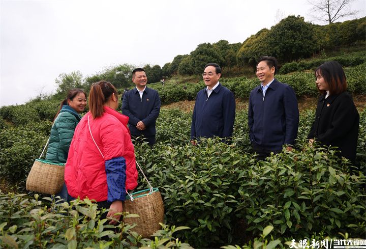 （审定）DPCL2334-1 - ----图为徐麟在正安县瑞溪镇桂花园茶叶种植示范基地与务工群众亲切交流。贵州日报天眼新闻记者 杜朋城 摄影.jpg